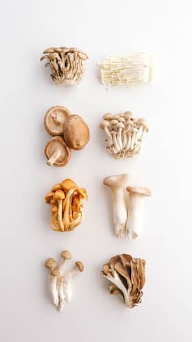 Benefits of Including Mushrooms in Your Diet
