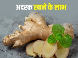 सर्दियों में रोज करें अदरक का सेवन, पेट दर्द से लेकर अर्थराइटिस जैसी समस्याओं से मिलेगी निजात