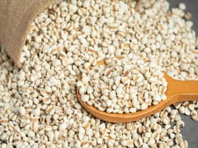 5 Ways Bajra Shields Your Health In The Winter Chill