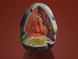 How Mitochondrial Nutrient Sensing Enhances Cellular Resilience? Study Finds