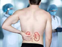 Kidney Failure के खतरे से बचा सकती हैं ये 5 आयुर्वेदिक जड़ी-बूटियां
