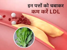 हाई कोलेस्ट्रॉल से हो चुके परेशान? गुनगुने पानी के साथ चबाएं इस सब्जी के पत्ते, धमनियों में नहीं बचेगा एलडीएल
