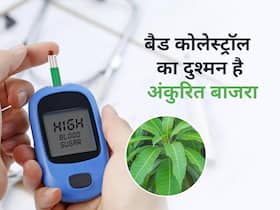 इस पेड़ का फल नहीं पत्ता चबाने से होगा Diabetes control, रात को चबाकर सो जाएं और सुबह देखें कमाल