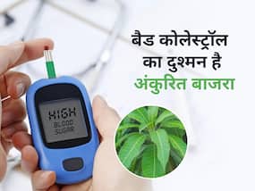 इस पेड़ का फल नहीं पत्ता चबाने से होगा Diabetes control, रात को चबाकर सो जाएं और सुबह देखें कमाल