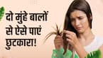 Home Remedies For Split Ends: दो मुंहे बालों से छुटकारा दिलाएंगे ये घरेलू उपाय