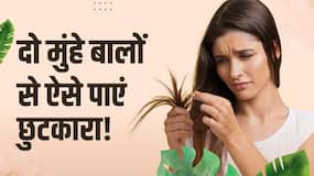 Home Remedies For Split Ends: दो मुंहे बालों से छुटकारा दिलाएंगे ये घरेलू उपाय