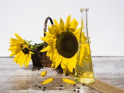 Seed Oils For Digestive Harmony: Say Goodbye To Bloating