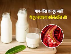 धमनियों से Bad Cholesterol को गायब कर देंगे ये 5 तरह के दूध, गाय-भैंस के दूध से भी ज्यादा मिलेगा फायदा