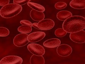 Experts Speak: Is High Haemoglobin A Boon Or Bane For Your Health?
