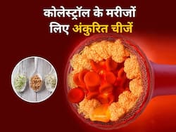 बैड कोलेस्ट्रॉल को धमनियों में जमा होने से रोकेंगी ये 5 अंकुरित चीजें, खाली पेट सेवन से मिलेगा डबल फायदा
