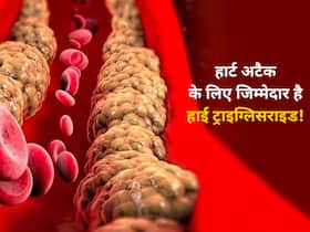 कितना ट्राइग्लिसराइड होने पर आ सकता है हार्ट अटैक? जानें 4 सबसे ज्यादा जरूरी चीजें कितना ट्राइग्लिसराइड होने पर आ सकता है हार्ट अटैक? जानें 4 सबसे ज्यादा जरूरी चीजें