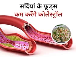 सिर्फ सर्दियों में खाने चाहिए ये 5 प्रकार के फूड्स, एक-एक नस में जमा Bad cholesterol हो जाएगा शरीर से बाहर
