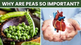 Green Peas: Reasons Why Matar is a Must in Your Winter Diet