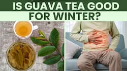 Guava Leaf Tea: Drink guava leaf tea to stay healthy and glowing