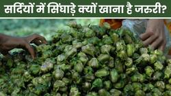 Water Chestnut Benefits: सिंघाड़े के ये फायदे कर देंगे आपको हैरान!