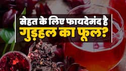 Hibiscus Benefits: बड़े काम का है गुड़हल का फूल, कई बीमारियों को रखता है दूर
