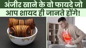 Figs Benefits: सर्दियों में रोजाना खाएं अंजीर, इम्युनिटी से लेकर हड्डियों को रखता है मजबूत!