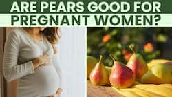 Pear in Pregnancy: Is It Safe To Eat Pears During Pregnancy?