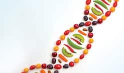 WEDNESDAY Beyond One-Size-Fits-All: Personalizing Diabetes Care With Nutrigenomics