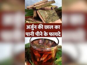 अर्जुन की छाल का पानी पीने के जबरदस्त लाभ