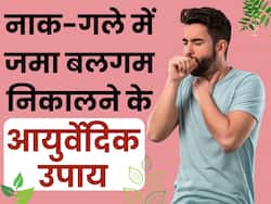 नाक और गले में जमा बलगम को आसानी से बाहर निकाल देंगे ये आयुर्वेदिक उपाय, खुलकर ले पाएंगे सांस