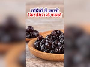 सर्दियों में काली किशमिश खाने के फायदे हैं अनेक, वेट लॉस से लेकर हेल्दी स्किन मिलेगी आपको