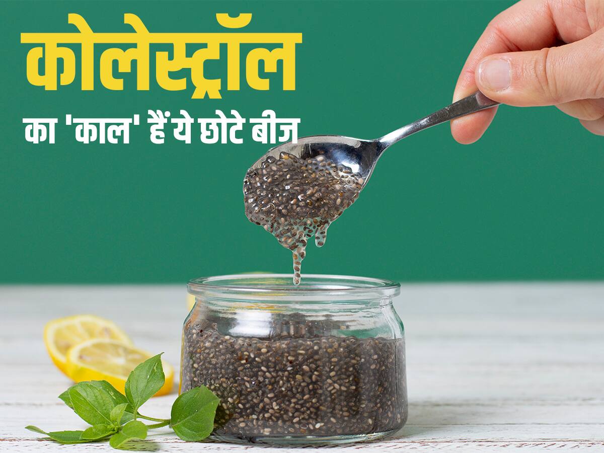 Cholesterol Me Chia Seeds Ke Fayde नसों से बैड कोलेस्ट्रॉल को सोख