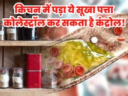 किचन में पड़ा ये सूखा पत्ता कोलेस्ट्रॉल को 7 दिन में कर सकता है कंट्रोल, बस इस तरह करना होगा सेवन