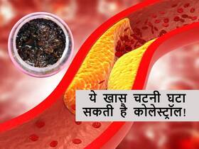 नसों में चिपके कोलेस्ट्रॉल से छुटकारा दिला सकता है इस बीज से बनी चटनी, दिल को भी मिलेगी मजबूती