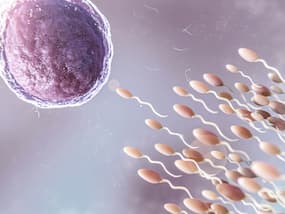 Just Like Egg Freezing, Should Men Be Freezing Their Sperms?