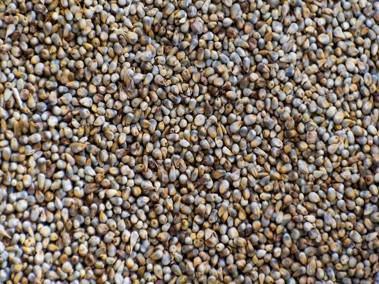 These 5 Foods Will Help Boost Your Immunity This Winter