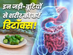 शरीर को डिटॉक्स करने में असरदार हैं ये आयुर्वेदिक हर्ब्स, एक-एक अंग में जमा गंदगी होगी साफ