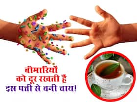 फ्री में मिलने वाली इस पत्ती की चाय से बीमारियों को रखें दूर, 1 घूंट पीने से दिखने लगेगा फर्क