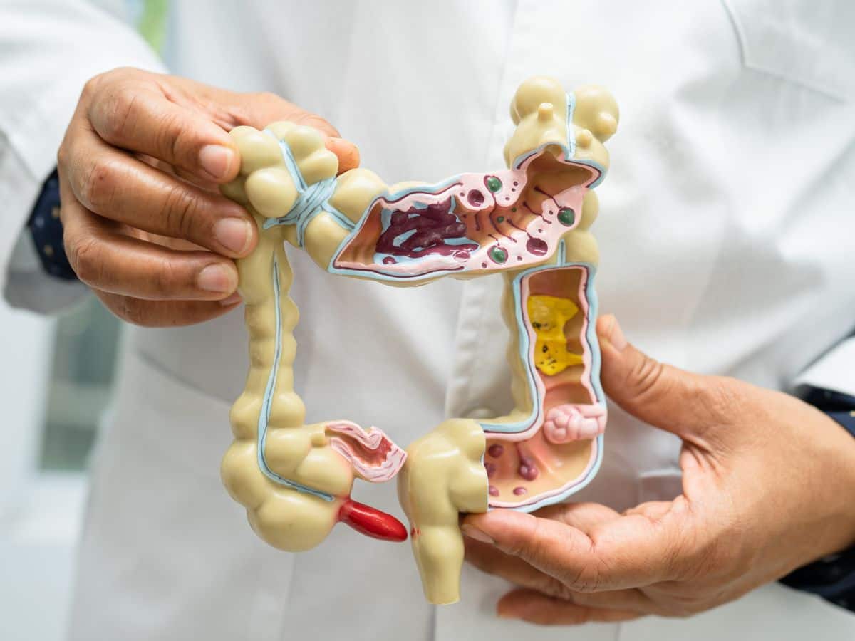 Benefits of Gluten-Free Diet: Leaky Gut And 3 Other Dangerous Side Effects of Gluten Sensitivity On Autoimmune Diseases - Vimarsana News