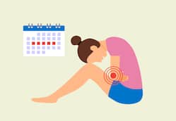 Ayurveda's Holistic Approach To Women's Health: Addressing Menstrual Issues And Menopause