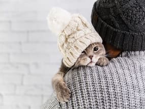 How Do You Take Good Care Of Your Pet During The Monsoon Season