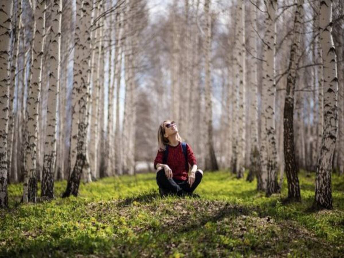 Boost Your Health With Forest Bathing: Try Shinrin Yoku For Overall Wellness - Vimarsana News