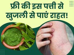 फ्री में मिलने वाली इस पत्ती से स्किन की खुजली करें कम, रोजाना इस तरह करें इस्तेमाल