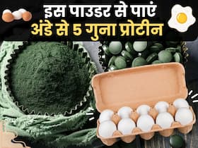 अंडे और चिकन से 5 गुना प्रोटीन से भरा है ये 1 पाउडर, स्टैमिना बढ़ाने से लेकर खून की कमी को करता है दूर