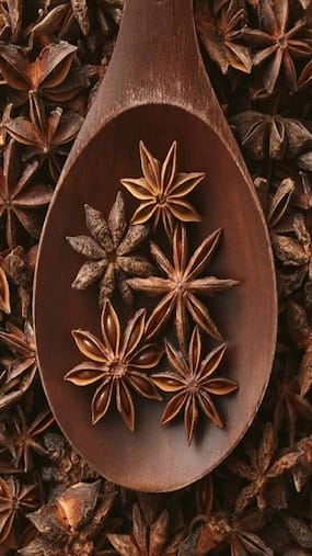 Health Benefits of Star Anise You Need to Know