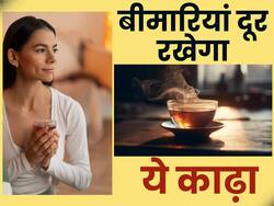 बाल्कनी के गमलों में उगने वाली इन पत्तियों से बनाएं काढ़ा, फ्लू और सर्दी के लक्षण हो जाएंगे हमेशा के लिए दूर