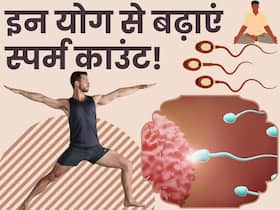 स्पर्म काउंट बढ़ाने के लिए पुरुषों को करना चाहिए ये 5 योगासन, बढ़ेगी फर्टिलिटी क्षमता स्पर्म काउंट बढ़ाने के लिए पुरुषों को करना चाहिए ये 5 योगासन, बढ़ेगी फर्टिलिटी क्षमता