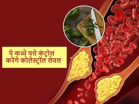 इन कच्चे पत्तों में है Bad cholesterol को शरीर से बाहर करने का दम, इस्तेमाल का सही तरीका होना चाहिए आपको पता