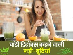 स्किन को चमकदार बनाने से लेकर शरीर को डिटॉक्स करने तक, ये शानदार काम करती हैं जड़ी-बूटियां