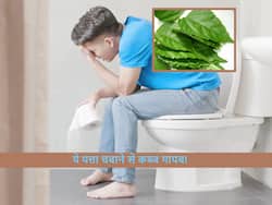 घंटों तक टॉयलेट में बैठे रहने की आदत छुड़ा देगा ये देसी पत्ता, सुबह खाली पेट चबाने से खत्म हो जाएगी कब्ज!