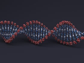 Evolutionary Theory Revisited: Examining The Genetic Basis Of Aging And Reproduction