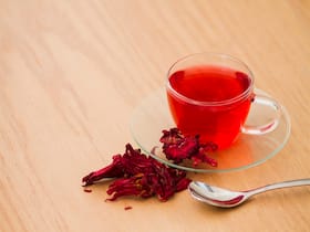 Rhododendron AKA Buransh Tea: Why This Rare Himalayan Tea Is A Must Have?