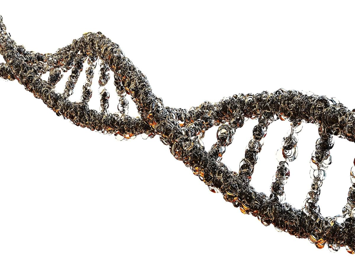 9 Things Everyone Should Know About Their Genes - Vimarsana News