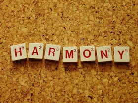Try These Natural Approaches For Hormonal Harmony