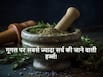 Year Ender 2023: इस साल लोगों ने गूगल पर सबसे ज्यादा सर्च की आयुर्वेदिक जड़ी-बूटियां, जानें क्या है इनमें खास